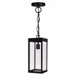 CWI Lighting Windsor 1-Light Black Modern Contemporary Clear Glass Lantern Indoor/Outdoor Hanging Pendant Light - Image 2