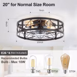 Breezary Caged/KD Version 20-in Flush Mount Matte Black with Gray Blades Fandelier Ceiling Fan With Light 7 -Blade ) - Image 2