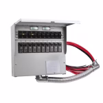 Reliance 50-Amp manual transfer switch