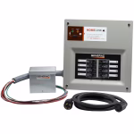 Generac HomeLink 30A Manual Switch