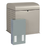 Kohler 10RESVL-100LC12 10kW Home Standby Generator Dual Fuel Liquid Propane or Natural Gas with 100A Automatic Transfer Switch