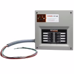 Generac 30-Amp HomeLink Manual Transfer Switch – Model 6854 - Image 2