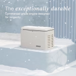 Kohler 26RCAL-200SELS 26kW RCAL Series Home Standby Generator Dual Fuel Liquid Propane or Natural Gas with 200A Automatic Transfer Switch - Image 3