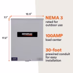 Generac 100-Amp Service-Rated Single-Phase Automatic Transfer Switch – Model RXSW100A3 - Image 2