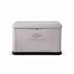 Briggs & Stratton PowerProtect 18,000-Watt Dual Fuel Home Standby Generator (Liquid Propane / Natural Gas) – Model 40756
