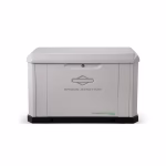 Briggs & Stratton PowerProtect 2600-Watt Dual Fuel Home Standby Generator – Model 40806