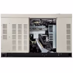 Generac Protector Series 25kW Dual fuel (Liquid Propane / Natural Gas) Home Standby Generator 120/240V Single Phase Model RG02515ANAX - Image 2
