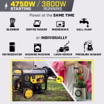 Champion 4,750 / 3,800-Watt Dual-Fuel RV-Ready Portable Generator with Electric Start and CO Shield – Model 201393 - Image 5